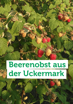 Produktfoto zu Der Bauernhof Weggun liefert uns feinste Marmelade aus regionalem Beerenobst.