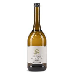 Produktfoto zu Riesling 0,75l