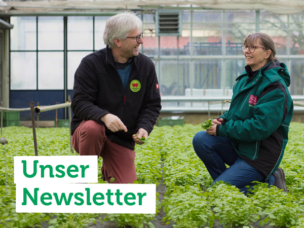 Zwei Personen im Gewächshaus, die Pflanzen begutachten. Text: "Unser Newsletter".