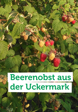 Produktfoto zu Der Bauernhof Weggun liefert uns feinste Marmelade aus regionalem Beerenobst.