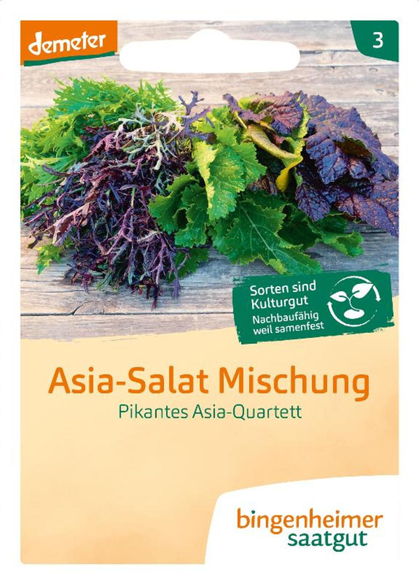 Produktfoto zu Saatgut Asia - Salat Mischung
