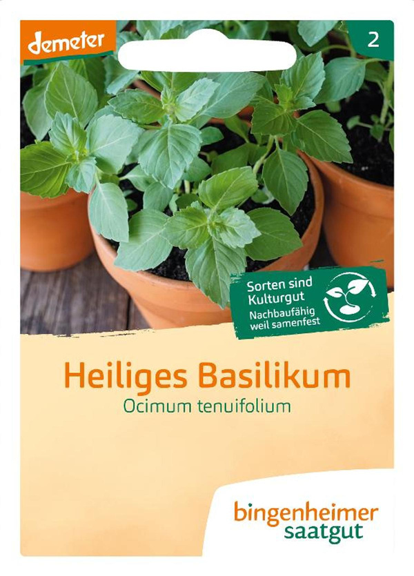 Produktfoto zu Saatgut Heiliges Basilikum