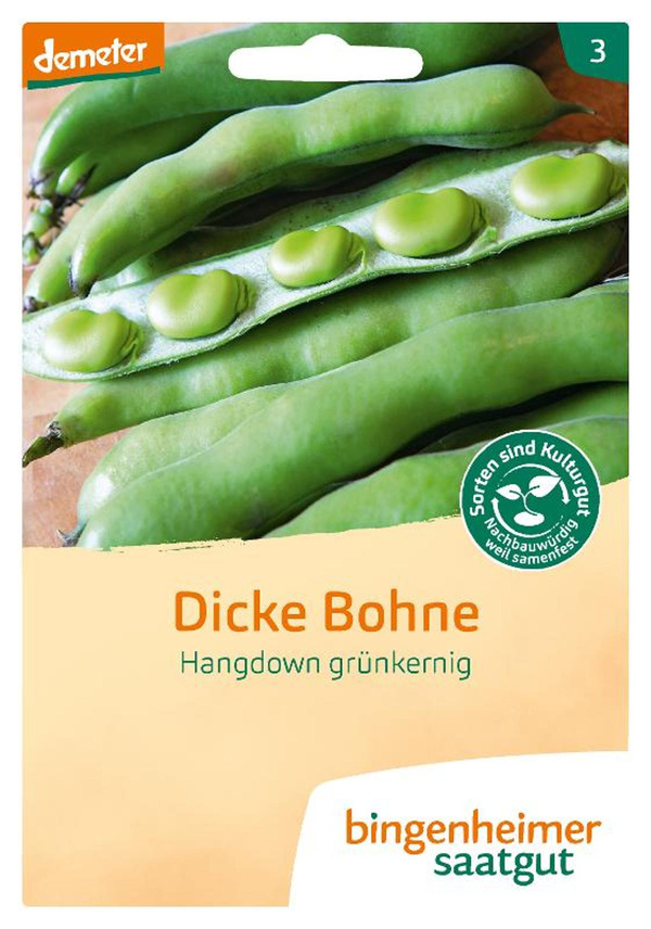 Produktfoto zu Saatgut Dicke Bohne Hangdown