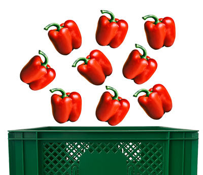 Produktfoto zu Paprika rot Kiste 3 kg