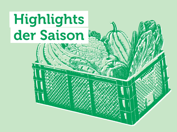 Gemüse in einer Kiste, Text: "Highlights der Saison".