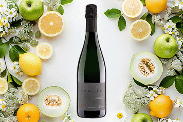 Produktfoto zu Riesling Sekt Weingut Sander Rheinhessen 0,75l