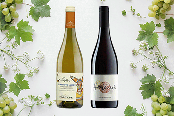 Produktfoto zu Modernes Wein Duo zum Festessen