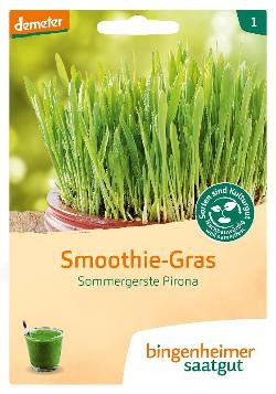 Produktfoto zu Saatgut Smoothie Gras Pirona