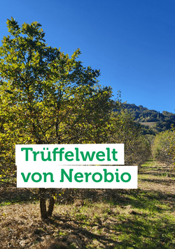 Produktfoto zu Ein Besuch bei einem Trüffelbetrieb in den italienischen Marken zeigt, wie viel Geduld und Erfahrung im Trüffelanbau steckt.