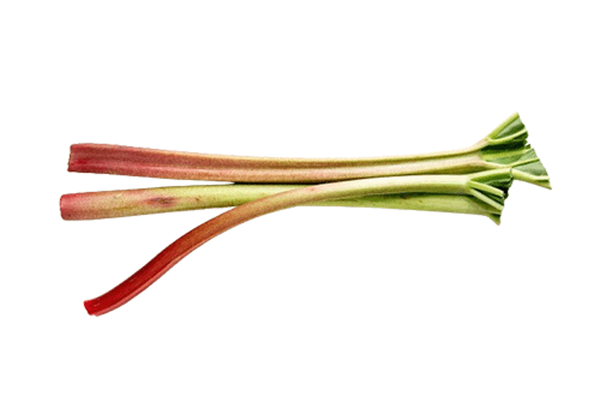 Produktfoto zu Rhabarber