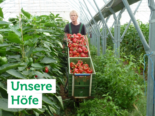Eine Person erntet Paprika in einem Gewächshaus. Text: "Unsere Höfe".