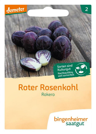 Produktfoto zu Saatgut Roter Rosenkohl Rokero