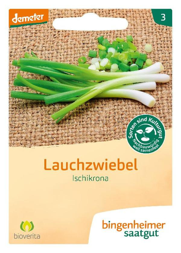 Produktfoto zu Saatgut Lauchzwiebel Ischikrona