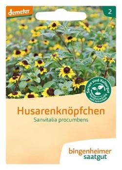 Produktfoto zu Saatgut Husarenköpfchen