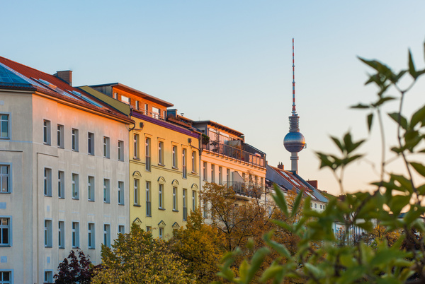 KI generiert: Person hält frisches Gemüse, darunter Karotten, Gurken und Kartoffeln.