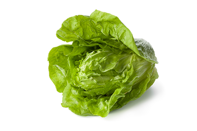 Produktfoto zu Salat - Zuckerhut