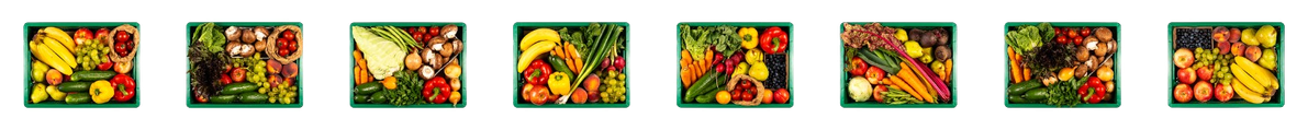 Eine Reihe von grünen Kiste gefüllt mit Obst und Gemüse