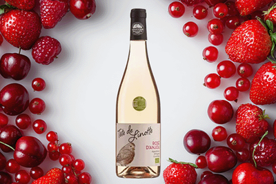 Produktfoto zu Rosé d'Anjou AOC, Loire Propriétés SAS, 0,75l