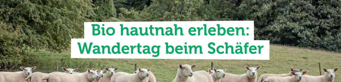 KI generiert: Eine Schafherde auf einer Wiese mit dem Text: "Bio hautnah erleben: Wandertag beim Schäfer".