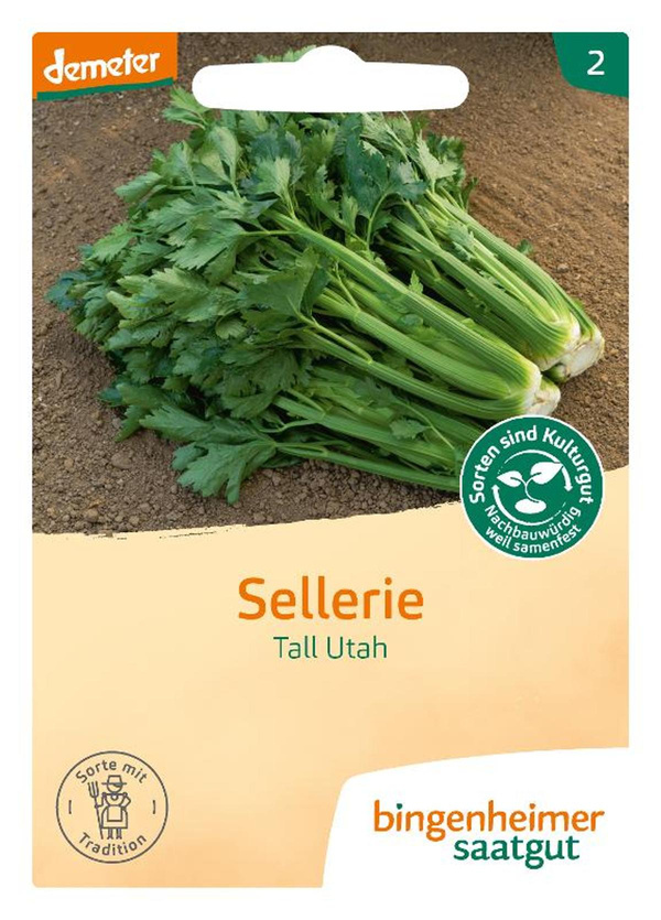 Produktfoto zu Saatgut Stangensellerie Tall Utah