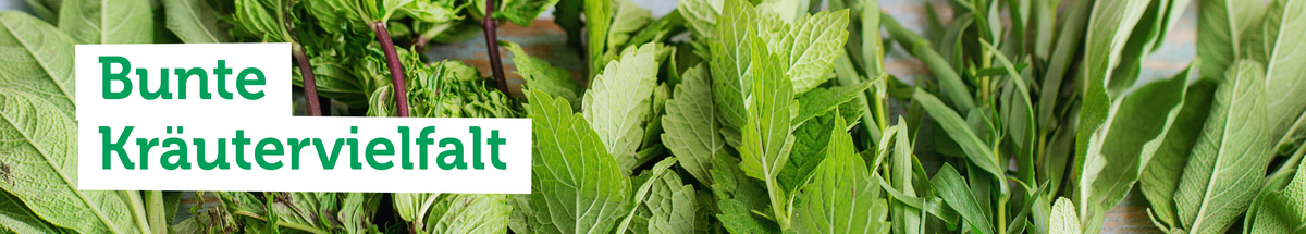 KI generiert: Frische, grüne Kräuter mit dem Text "Bunte Kräutervielfalt".