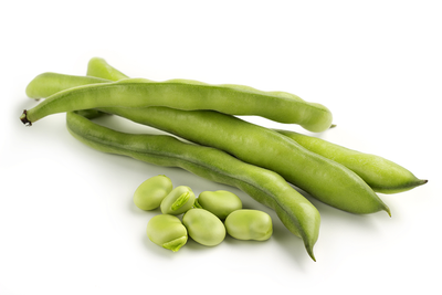 Produktfoto zu Dicke Bohnen, 500g