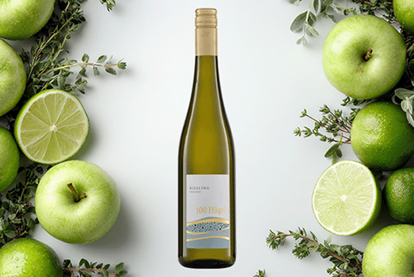 Produktfoto zu Riesling "100 Hügel", Weingut Wittmann, 0,75l