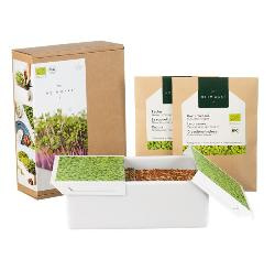 Produktfoto zu StarterKit Heimgart für 2 Saatpads