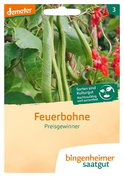 Produktfoto zu Saatgut Feuerbohne