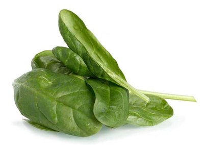 Produktfoto zu Spinat, 500g