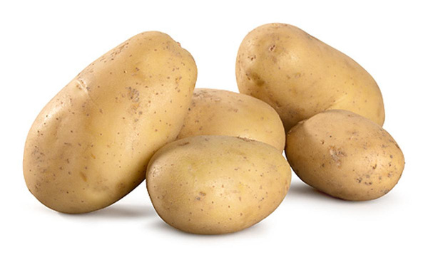 Produktfoto zu Frühkartoffeln mehligkochend 1,5 kg