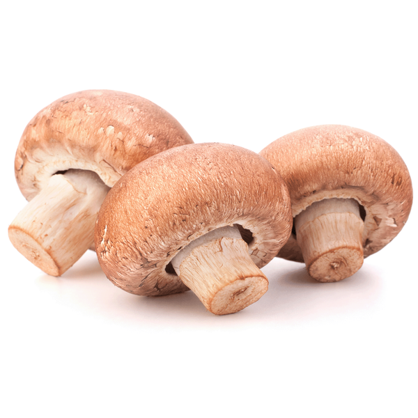 Produktfoto zu Steinchampignon, 200g