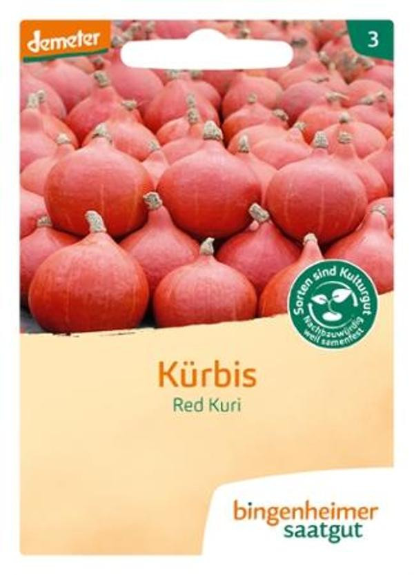 Produktfoto zu Saatgut Hokkaido Kürbis Red Kuri