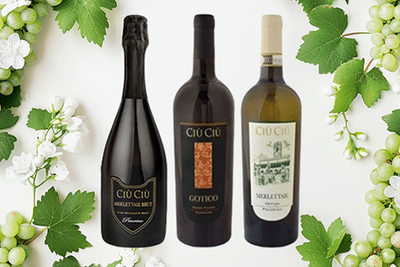 Produktfoto zu Italienisches Wein Trio direkt vom Erzeuger