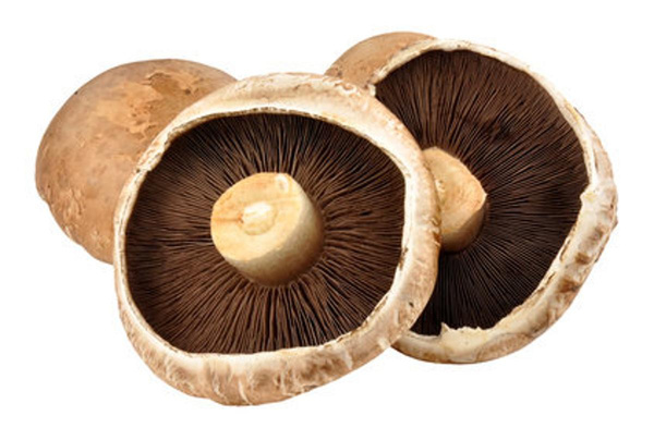 Produktfoto zu Champignons Portobello, 2 Stück