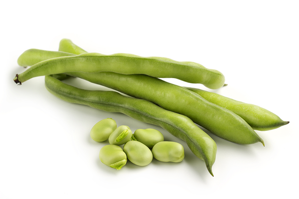 Produktfoto zu Dicke Bohnen, 500g