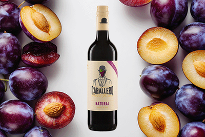 Produktfoto zu Caballero Natural, Irjimpa - Las Mesas, 0,75l
