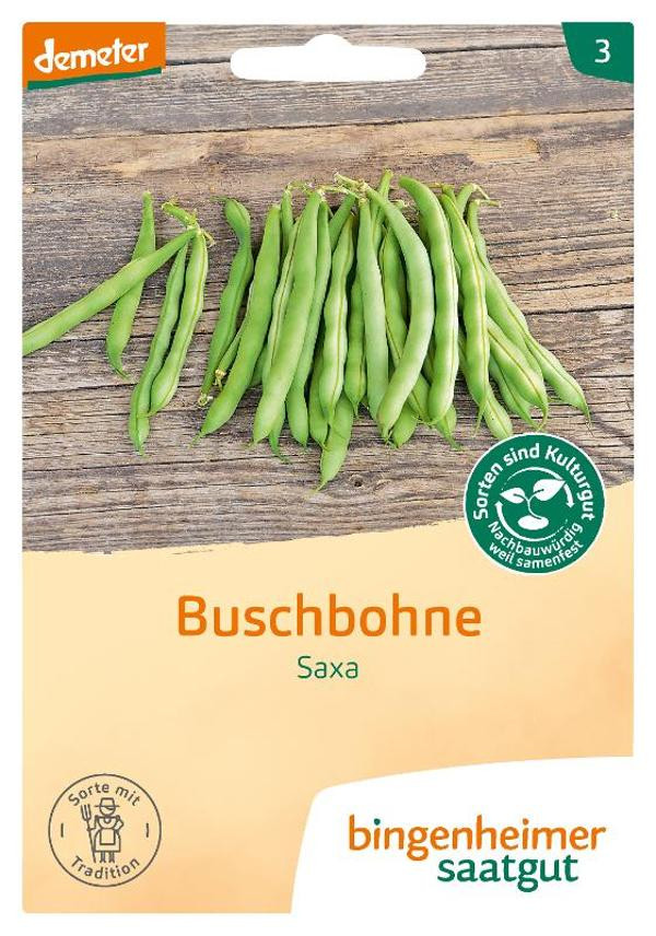 Produktfoto zu Saatgut Buschbohne grün Saxa