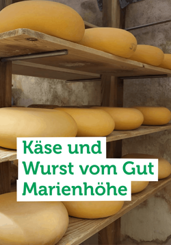 Produktfoto zu Unser Team war zu Besuch auf dem Gut Marienhöhe bei Bad Saarow und durfte bei der Käseproduktion dabei sein.