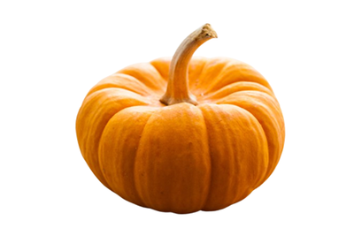 Produktfoto zu Kürbis Jack be little 0,2 - 0,3kg