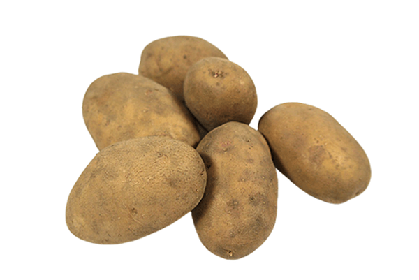 Produktfoto zu Frühkartoffeln festkochend 1,5kg