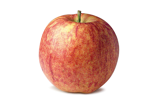 Produktfoto zu Apfel Jonagored