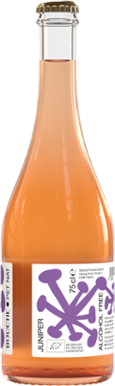 Produktfoto zu Kombucha Juniper Pet Nat Alkoholfrei 0,75l