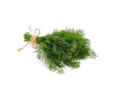Produktfoto zu Kräuter - Dill