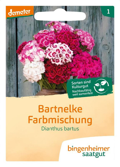 Produktfoto zu Saatgut Bartnelke