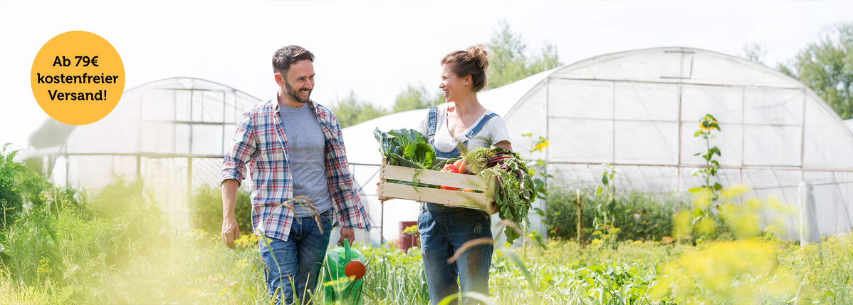 Zwei Personen im Gemüsegarten mit Erntekiste, Gewächshäuser im Hintergrund.
