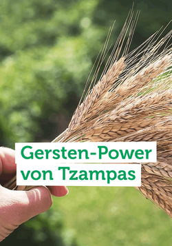 Produktfoto zu Tzampas beweist: In unserem heimischen Getreide steckt ganz viel Energie und das Potenzial für leckere Riegel!
