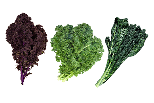 Produktfoto zu Kohl Mix