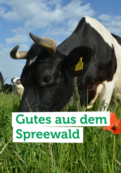 Produktfoto zu Hier erfahrt ihr mehr über das Gut Ogrosen - unser Käselieferant aus dem Spreewald.