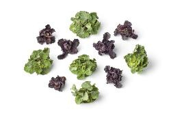 Produktfoto zu Flower Sprouts, 250g